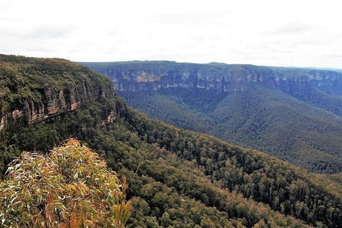 Blue Mountains - Accommodation Ballina 3