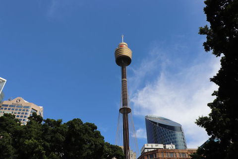 Private Sydney City Customized Tour - Accommodation Ballina 0