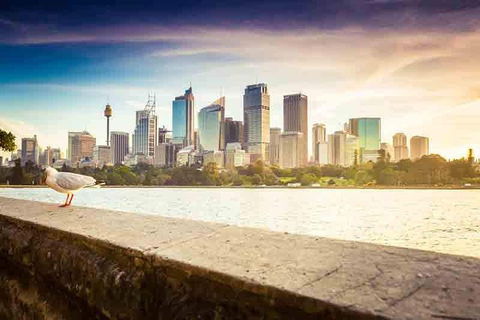Private Sydney City And Bondi Beach Half Day Tour - Accommodation Ballina 2