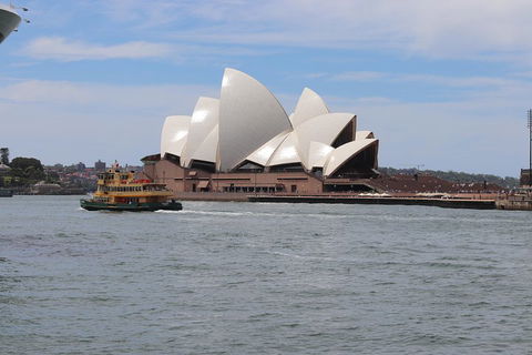 Private Sydney City And Bondi Beach Half Day Tour - Accommodation Ballina 5
