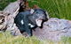 Private Blue Mountains Tour With Kangaroo And Koala Experience - thumb 0