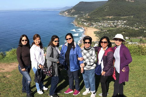 Private Grand Pacific Drive And Southern Highlands Tour - Accommodation Ballina 3