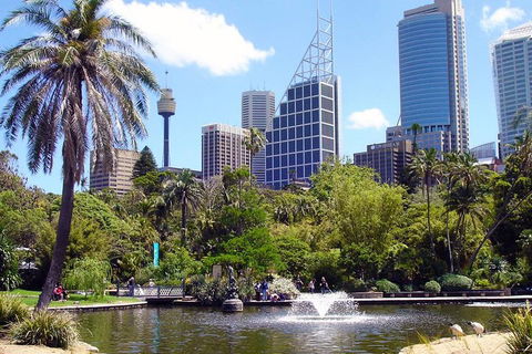 Private Sydney Half Day Tour Including Sydney Opera House And Bondi Beach - Accommodation Ballina 4