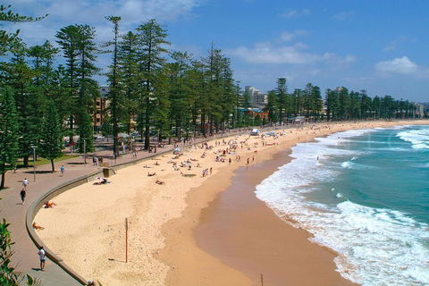 Private Sydney Full Day Tour Including Sydney Opera House, Bondi And Manly - Accommodation Ballina 3