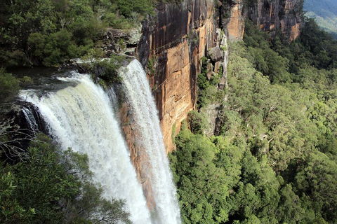 Private Southern Highlands Day Trip From Sydney Including Fitzroy Falls - Accommodation Ballina 1