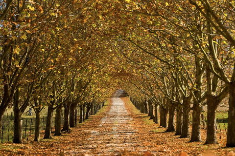 Private Southern Highlands Day Trip From Sydney Including Fitzroy Falls - Accommodation Ballina 4