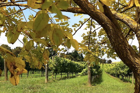 Private Southern Highlands Day Trip From Sydney Including Fitzroy Falls - Accommodation Ballina 5