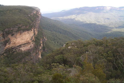 Full-Day Private Blue Mountains Tour With River Cruise - Accommodation Ballina 3