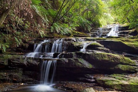 Private All Blue Mountains Day Tour - Accommodation Ballina 1