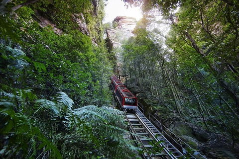Private All Blue Mountains Day Tour - Accommodation Ballina 3