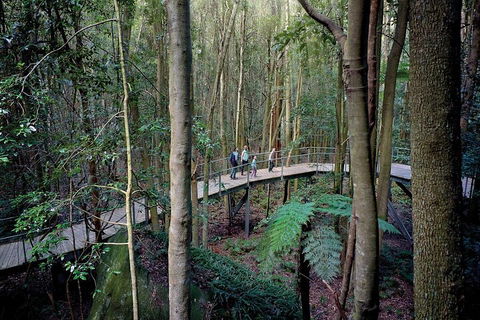 Private All Blue Mountains Day Tour - Accommodation Ballina 4