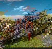 Barossa Valley Private Tour from 2 to 11 people - Accommodation Ballina