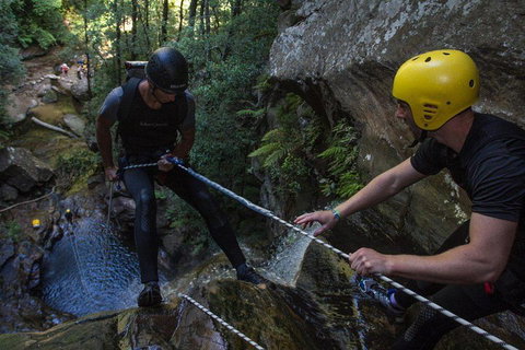 Blue Mountains Empress Canyon Adventure From Wentworth Falls - Accommodation Ballina 2