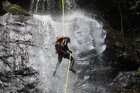 Blue Mountains Empress Canyon Adventure From Wentworth Falls - Accommodation Ballina 3