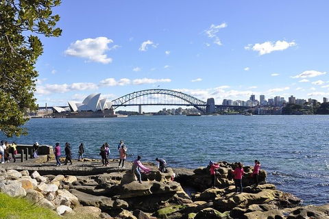 Sydney Sightseeing Bus Tours - Accommodation Ballina 2