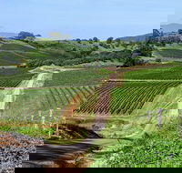 The Complete Hunter Valley Wine Tour of Pokolbin Mt View Lovedale and Rothbury - Accommodation Ballina