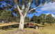 Blue Mountains Private Tour - Wild Kangaroos, Waterfalls And The Three Sisters - thumb 1