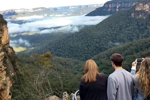 Blue Mountains Private Tour - Wild Kangaroos, Waterfalls And The Three Sisters - Accommodation Ballina 3