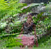 Full-Day Guided Hinterland Adventure Tour in Queensland - Accommodation Ballina