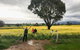 Grampians - Private Tour - thumb 2