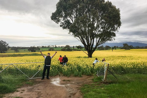 Grampians - Private Tour - Accommodation Ballina 2