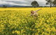 Grampians - Private Tour - thumb 3