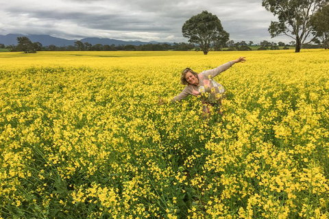 Grampians - Private Tour - Accommodation Ballina 3
