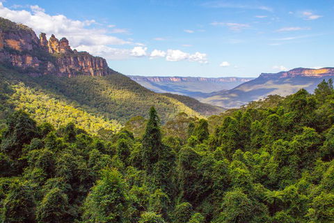 Blue Mountains Nature And Wildlife Day Tour From Sydney - Accommodation Ballina 1