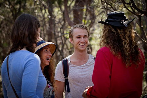 Blue Mountains Nature And Wildlife Day Tour From Sydney - Accommodation Ballina 4