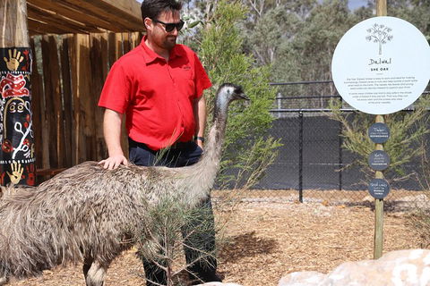 Blue Mountains Nature And Wildlife Day Tour From Sydney - Accommodation Ballina 5