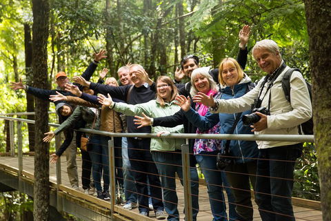All Inclusive Blue Mountains Small-Group Day Trip From Sydney - Accommodation Ballina 5