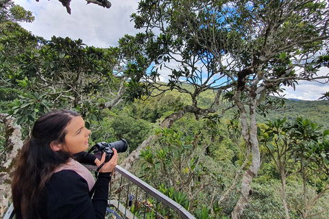 Lamington National Park, O'Reilly's & Vineyard Tour - Accommodation Ballina 1