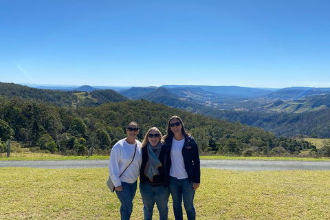 Lamington National Park, O'Reilly's & Vineyard Tour - Accommodation Ballina 3