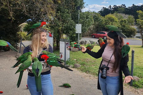 Lamington National Park, O'Reilly's & Vineyard Tour - Accommodation Ballina 5