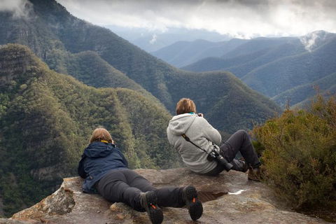 Inside The Greater Blue Mountains World Heritage - A Private Wildlife Safari Overnight - Accommodation Ballina 0