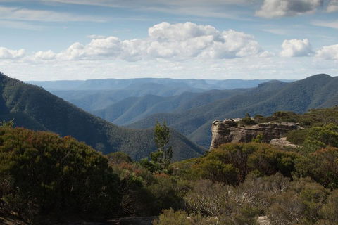 Inside The Greater Blue Mountains World Heritage - A Private Wildlife Safari Overnight - Accommodation Ballina 5