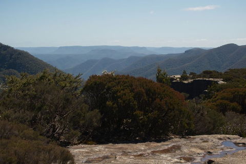 The Explorers' Discovery Tour - Gold, Wine & Wildlife - Accommodation Ballina 3