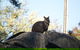 The Explorers' Discovery Tour - Gold, Wine & Wildlife - thumb 4