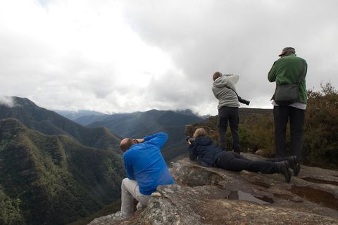 From The Mountains To The Bay - 4 Day Rediscovery Private Tour - Accommodation Ballina 4