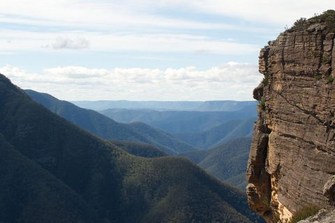 Inside The Greater Blue Mountains World Heritage - A Wildlife Safari Overnight - Accommodation Ballina 4
