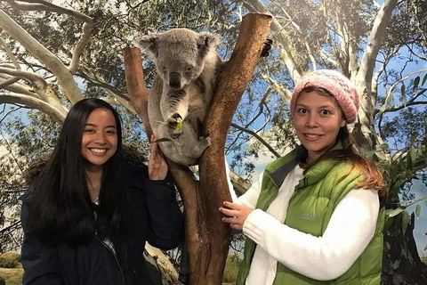 Australia Multi-City Attractions Pass - Accommodation Ballina 3