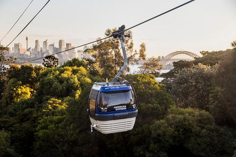 Australia Multi-City Attractions Pass - Accommodation Ballina 5