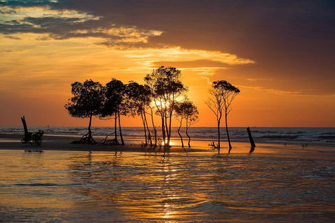 Delightful Darwin Self-Guided Audio Tour - Accommodation Ballina 3