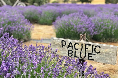 Kangaroo Island Food And Wine Trail Tour - Accommodation Ballina 0
