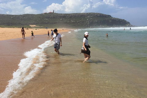 Small-Group Sydney's Northern Beaches And Ku-ring-gai National Park Bus Tour - Accommodation Ballina 5