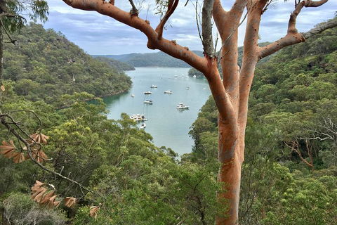 Shore Excursion: Sydney's Northern Beaches & Ku-ring-gai National Park Bus Tour - Accommodation Ballina 1