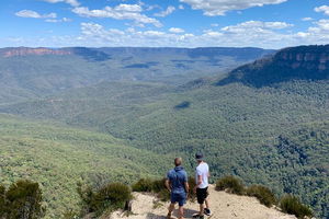 Blue Mountains Private Tour From Sydney, & Featherdale Aussie Animal Park Option