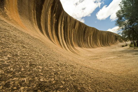 Wave Rock, York, Wildflowers, And Aboriginal Cultural Day Tour From Perth - Accommodation Ballina 0