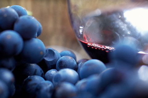 Yarra Valley 2-6 Guests Premium Food And Wine Inc Lunch At Dominique Portet - Accommodation Ballina 5