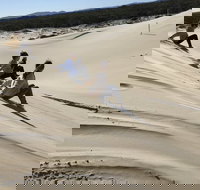 Port Stephens Bush Beach and Sand Dune 4WD Tag-Along Tour - Accommodation Ballina